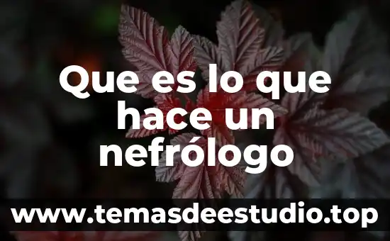 Que es y que hace la corte de justicia 4 Que es lo que hace un nefrólogo