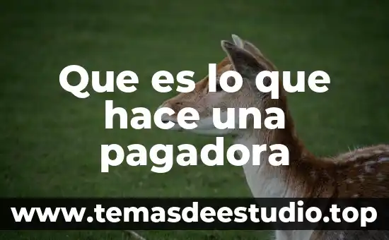 Que es historia y a través de que se hace 4 Que es lo que hace una pagadora
