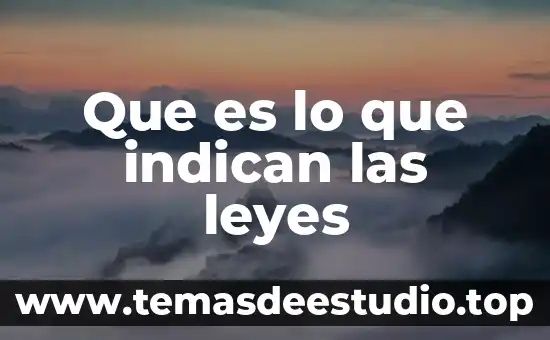 Que es lo que indican las leyes