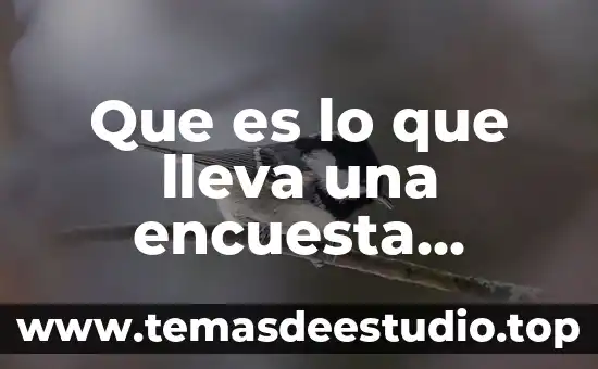 Que es lo que lleva una encuesta explicacion para niños