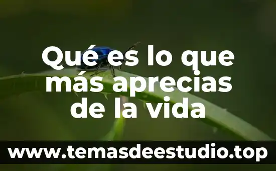 Que es lo mas sorprendente de un tiburon tiburon tigre 7 Qué es lo que más aprecias de la vida