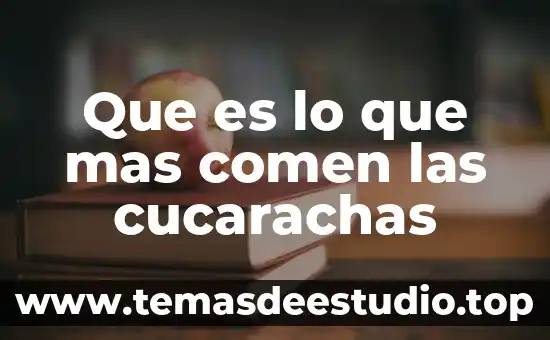 Informacion de chore que es lo que comen 8 Que es lo que mas comen las cucarachas