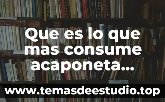 Que es lo que la gente mas consume 2017 5 Que es lo que mas consume acaponeta nayarit