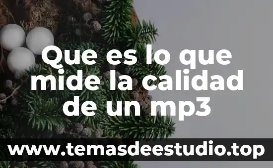 Que es el sol y cuanto mide 3 Que es lo que mide la calidad de un mp3