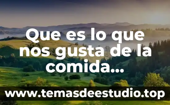 Que es lo que nos gusta de la comida chatarra