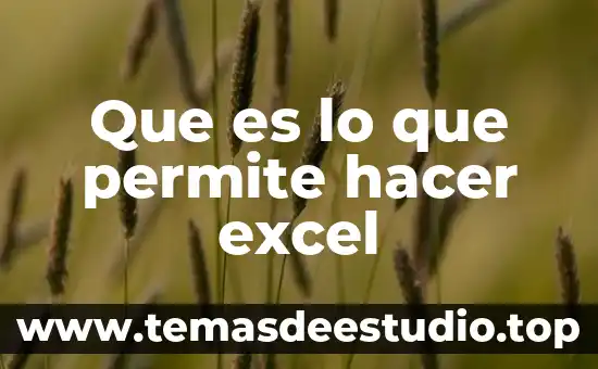 Que es lo que permite hacer excel