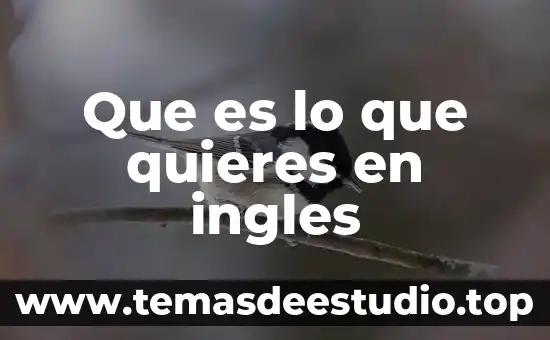 Qué es el argumento de la historia 3 Que es lo que quieres en ingles