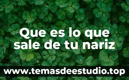 Que es lo que sale de tu nariz