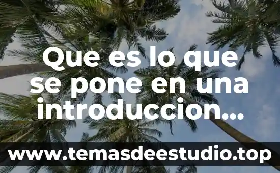 Que es lo que se pone en una introduccion ejemplo