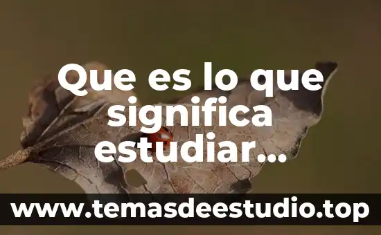 Qué es necesario para estudiar una maestría 8 Que es lo que significa estudiar filosofia
