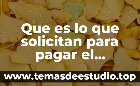 Que es lo que solicitan para pagar el refrendo
