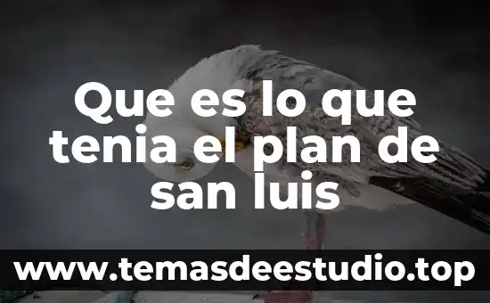 De que es la empresa magna planta san luis 6 Que es lo que tenia el plan de san luis
