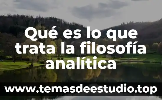 Qué es lo que trata la filosofía analítica