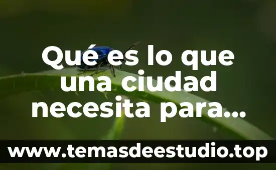 Por que es bueno saber la historia de nuestra ciudad 4 Qué es lo que una ciudad necesita para ser sustentable