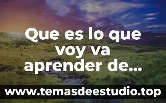 Teoria interpretativa que es aprender 4 Que es lo que voy va aprender de historia