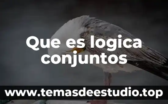 Que es logica conjuntos