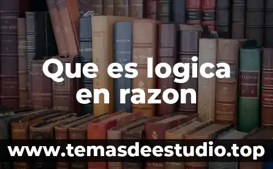 Que es logica en razon