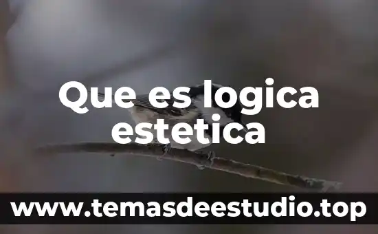 Que es logica estetica