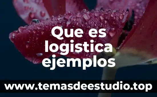 Que es logistica ejemplos