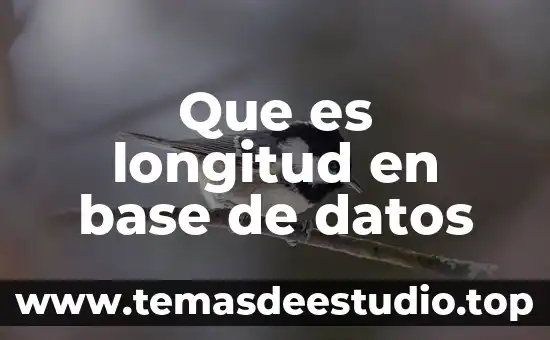 Como explicarle a un niño que es la longitud 6 Que es longitud en base de datos
