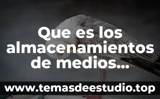 Que es los almacenamientos de medios físicos