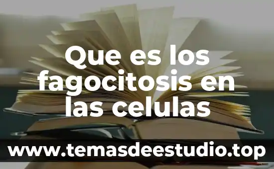 Qué es mieloma de células plasmáticas 4 Que es los fagocitosis en las celulas