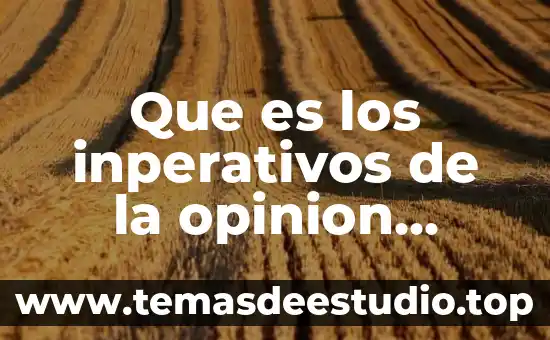 ¿Qué es la opinión pública de Alcohólicos Anónimos? 3 Que es los inperativos de la opinion publica