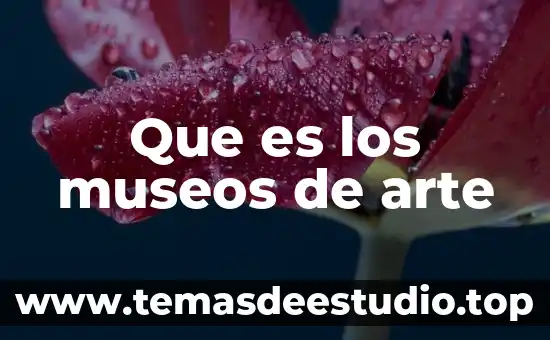 Que es el arte griego neoclasicismo 7 Que es los museos de arte
