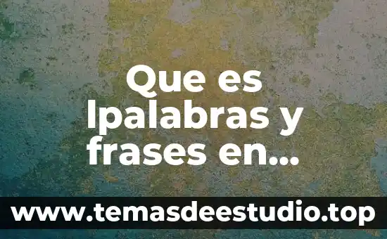 En filosofía que es crítica 3 Que es lpalabras y frases en filosofia