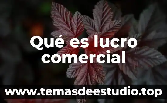 Qué es un país comercial 4 Qué es lucro comercial