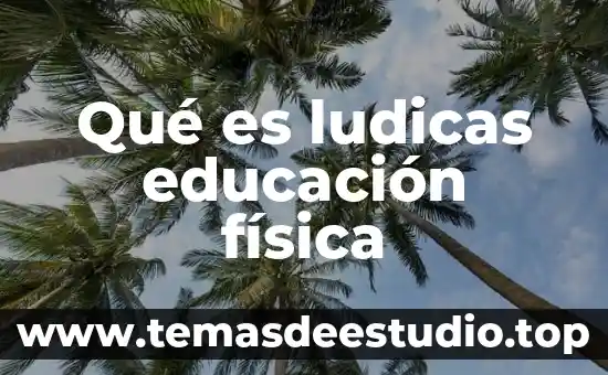 Que es la educacion en los valores 7 Qué es ludicas educación física