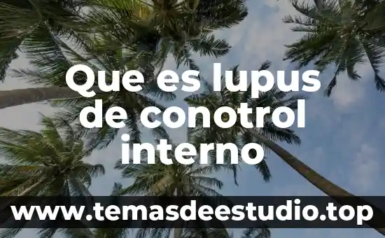Qué es un obstáculo interno en el ser humano 6 Que es lupus de conotrol interno