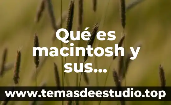 Qué es macintosh y sus características