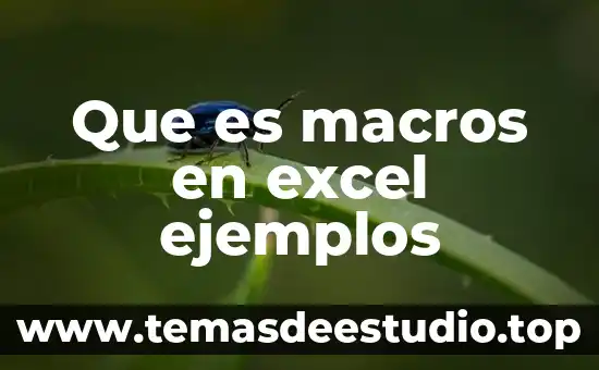 Qué es frotamiento y ejemplos 3 Que es macros en excel ejemplos