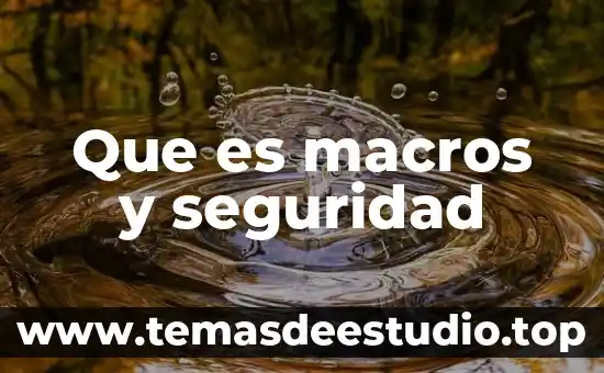 Que es macros y seguridad