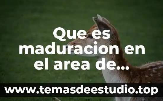 Que es el simbolismo en psicologia 8 Que es maduracion en el area de psicologia