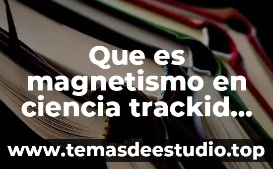 Que es el conocimiento filosofico trackid sp-006 5 Que es magnetismo en ciencia trackid sp-006