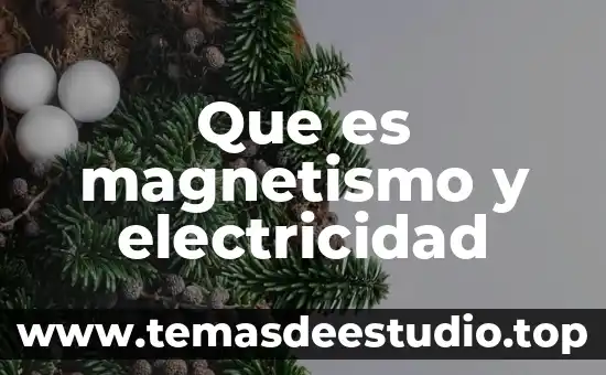 Que es el polo norte relacionado con el magnetismo 7 Que es magnetismo y electricidad