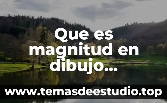 Que es presicion de movimiento en los niños 4 Que es magnitud en dibujo industrial