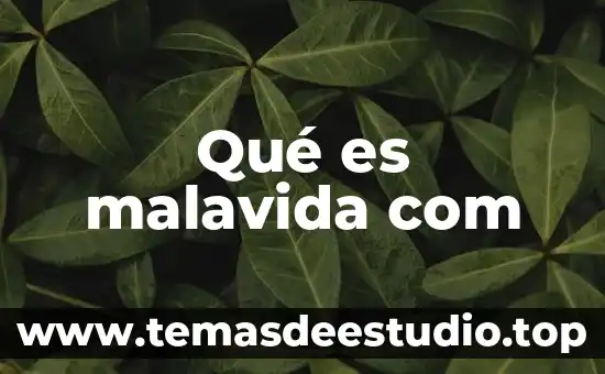 Stp kickstarter com que es 7 Qué es malavida com