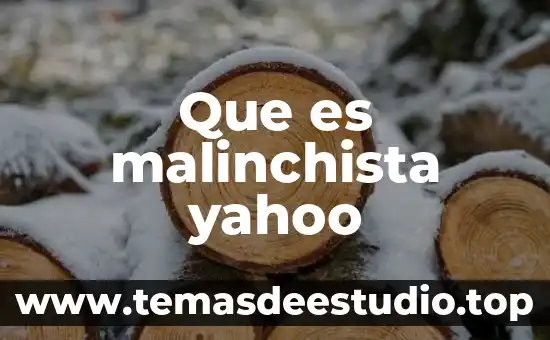 Que es malinchista yahoo