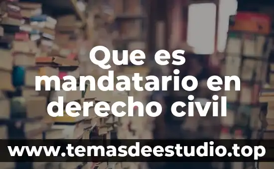 Que es mandatario en derecho civil