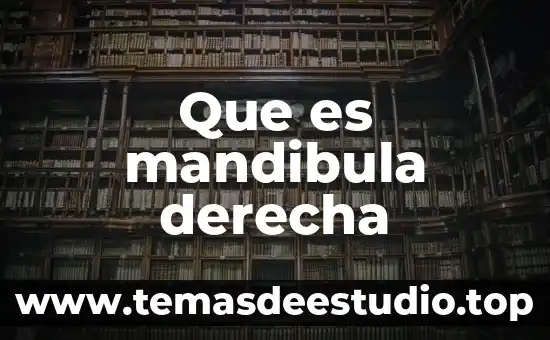 Que es la izquierda y la derecha en argentina 3 Que es mandibula derecha