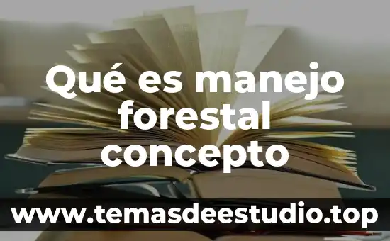 Que es base concepto 4 Qué es manejo forestal concepto