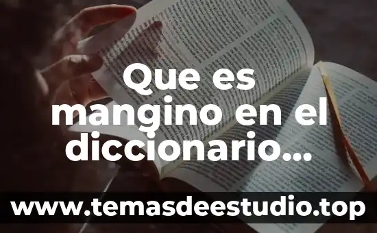 Qué es etimología en el diccionario 7 Que es mangino en el diccionario larousse
