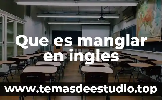 Que es el nivel a1 de ingles 3 Que es manglar en ingles