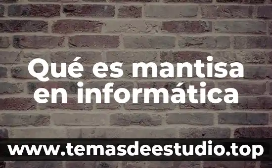 Que es web en informatica 8 Qué es mantisa en informática