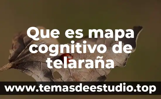 Que es el organizador grafico telaraña 3 Que es mapa cognitivo de telaraña