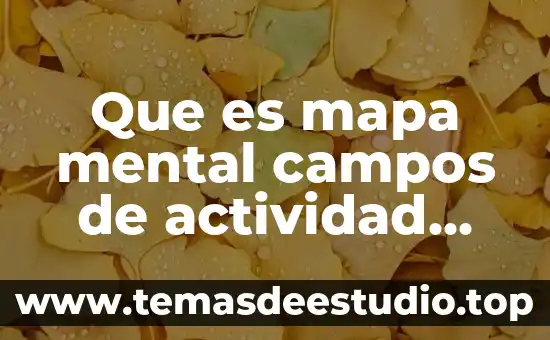 Que es mapa mental campos de actividad con dibujo