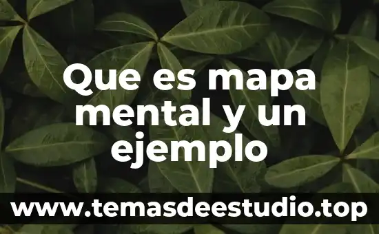 Que es mapa mental y un ejemplo